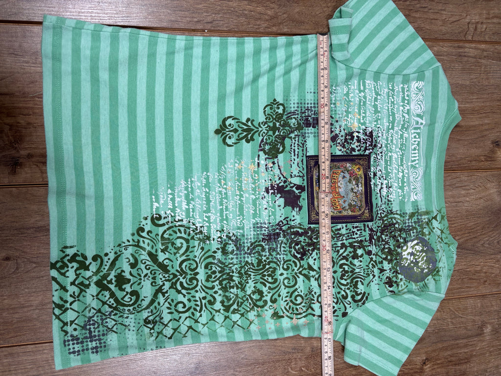 Pretty Odd panic at the disco green striped tshirt